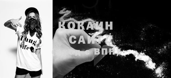 молекула духа Бронницы