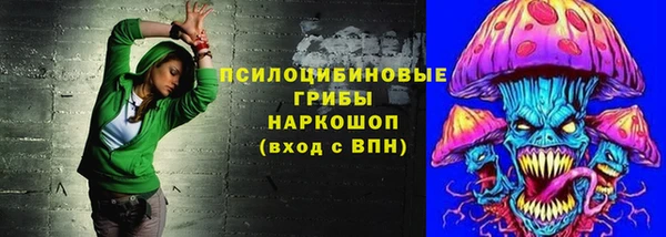 молекула духа Бронницы