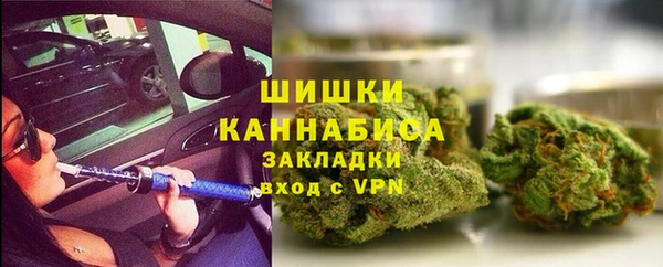 молекула духа Бронницы