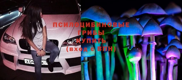молекула духа Бронницы