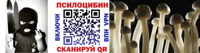 дарнет шоп  Артём  KRAKEN как войти  Псилоцибиновые грибы GOLDEN TEACHER 