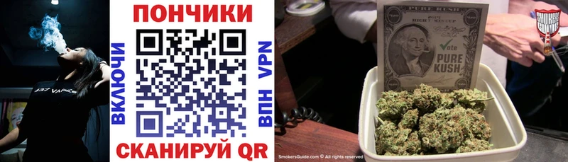 Бошки Шишки гибрид  Артём 